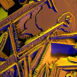 Molden and recristallized metall  Field-of-View: 234 x 167 micron : metall, molden, cristal, cristallized