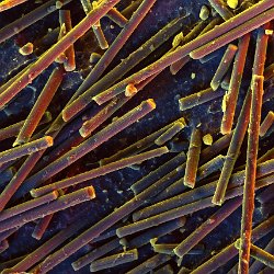 Carbon nanotubes in POM matrix  Etched with Oxygen plasma. Field-of-View: 330x236 micron : Carbon, Oxygen, nanotube, etched, plasma