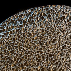 Styrofoam  Polystyrol, cryo crosscut Field-of-View: 3713x3713 micron : plystyrol, styrofoam, crosscut, cryo