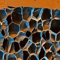 Styrofoam  Polystyrol, cryo crosscut Field-of-View: 910x650 micron : plystyrol, styrofoam, crosscut, cryo