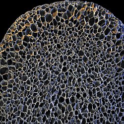 Styrofoam  Polystyrol, cryo crosscut Field-of-View: 4332 x 3095 micron : plystyrol, styrofoam, crosscut, cryo